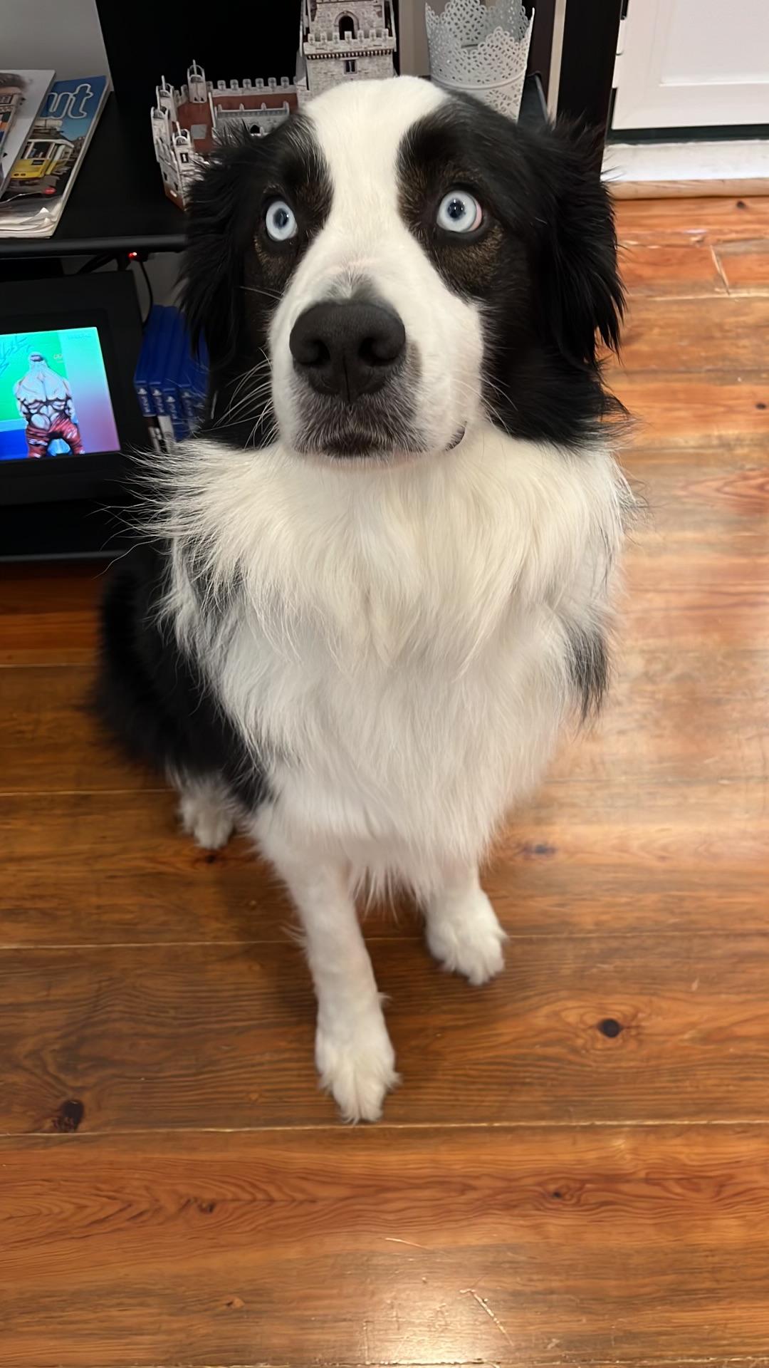 Hi, I'm Cody