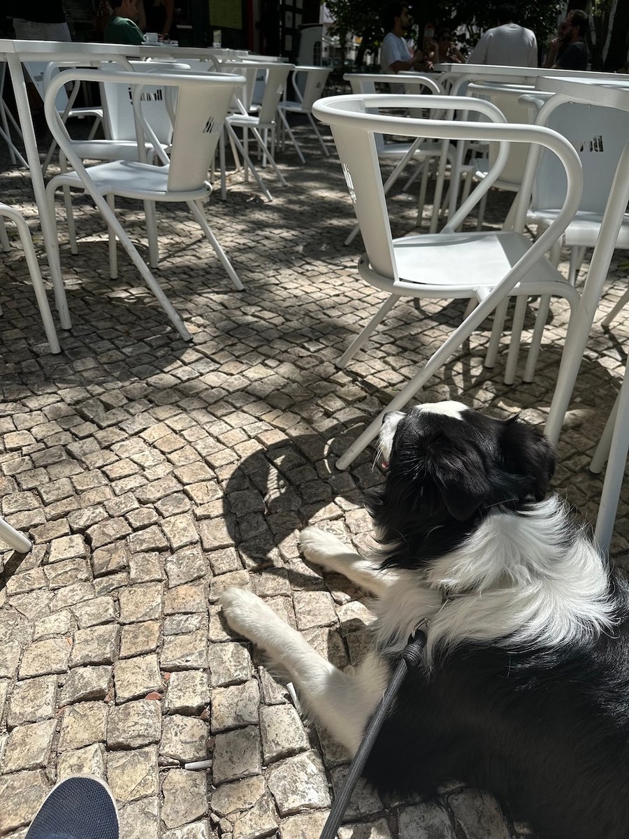Cody at the Campo de Ourique Quiosque
