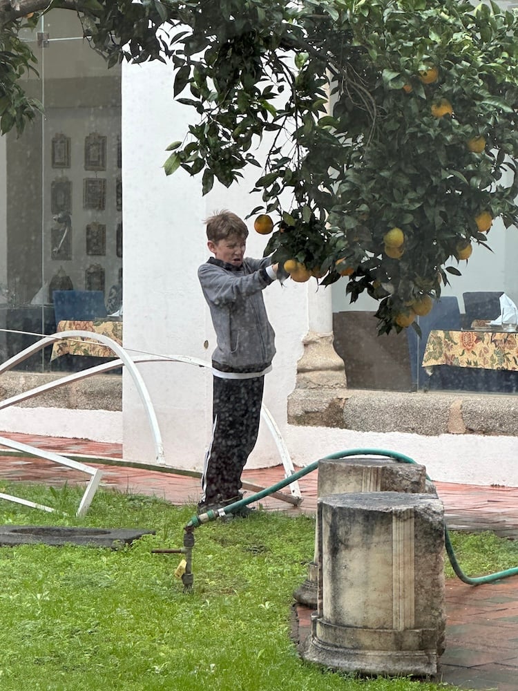 Seb Picking Oranges in the Convent Cloisters
