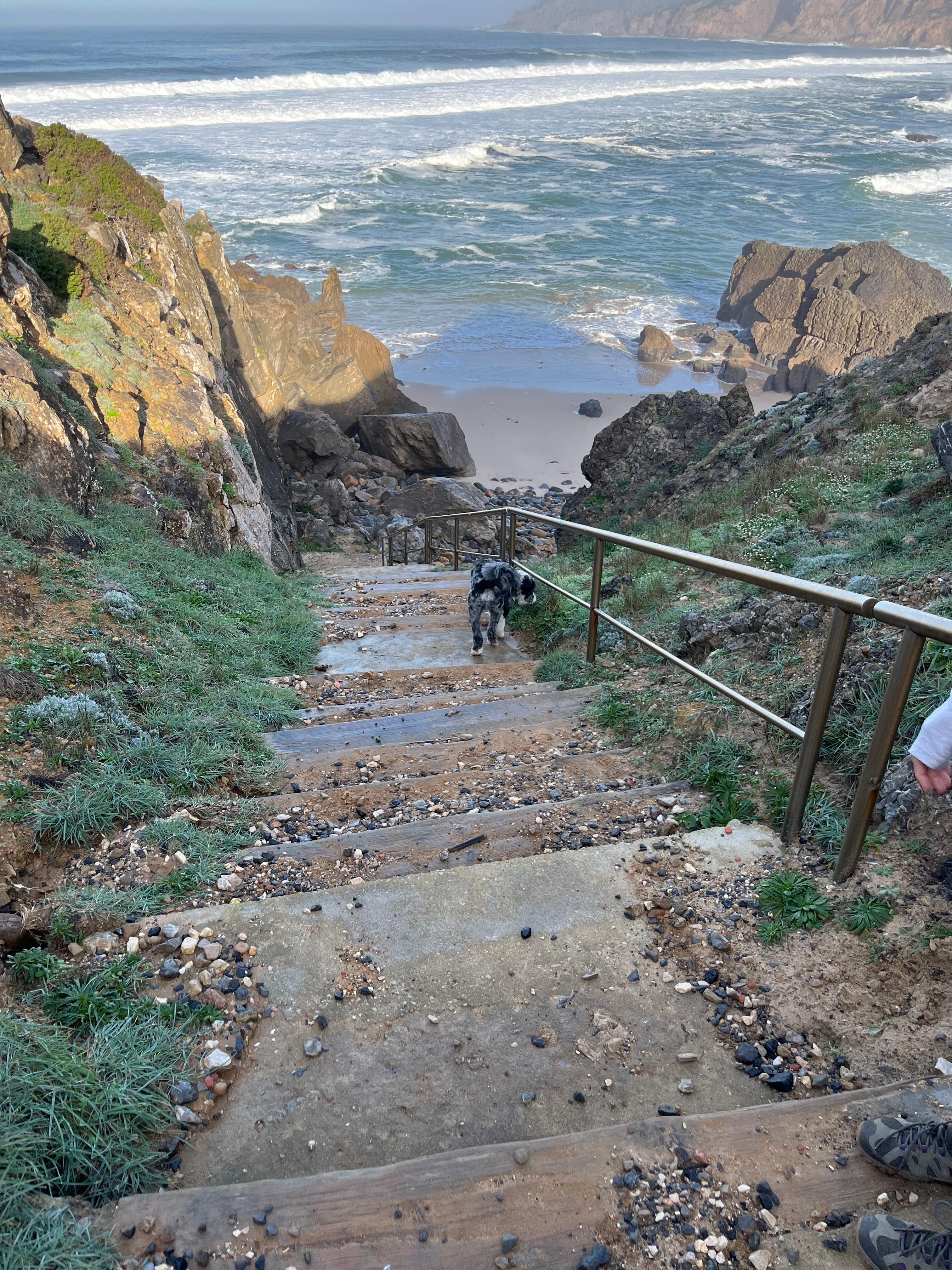 Down to the Water
