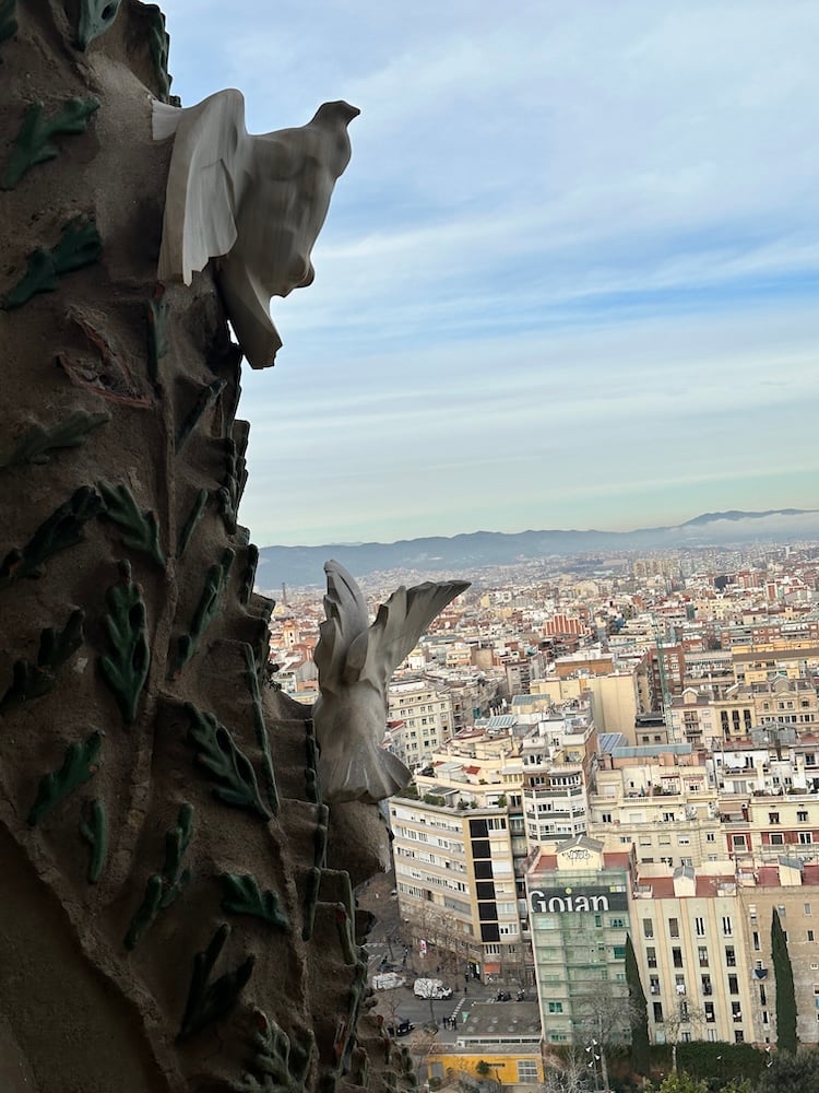 From the Sagrada Família Towers