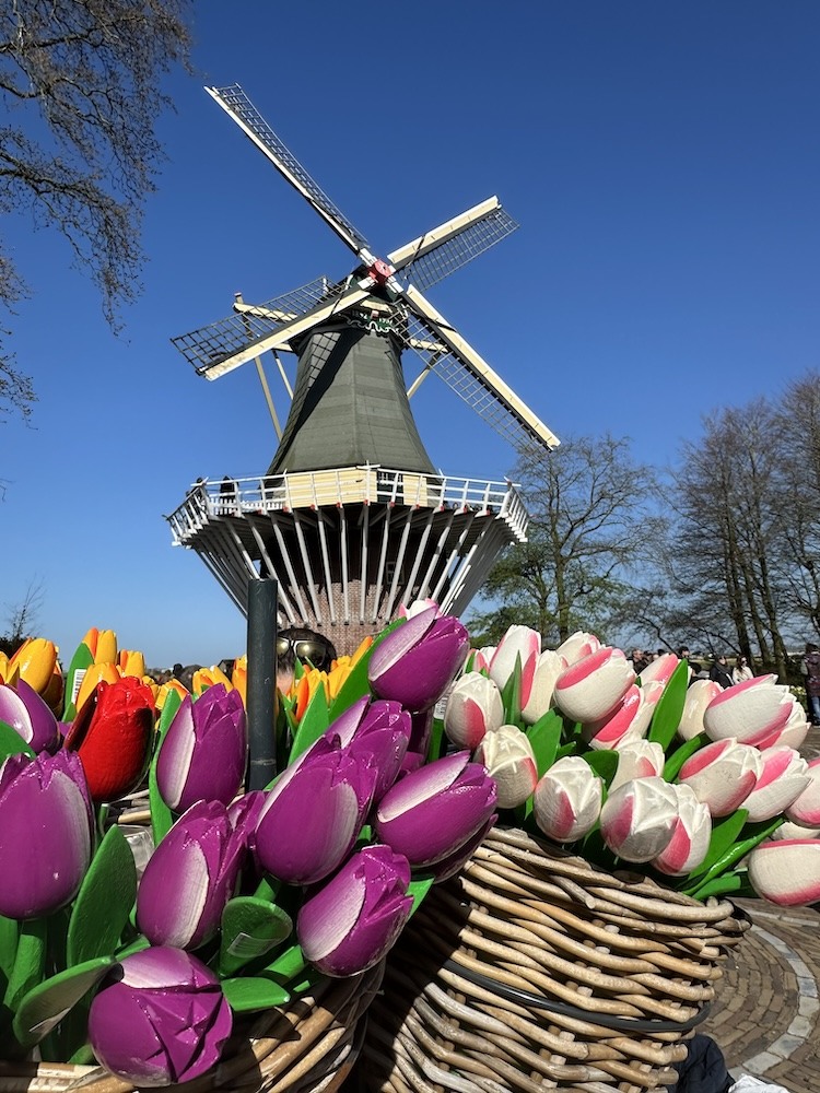 Classic Holland