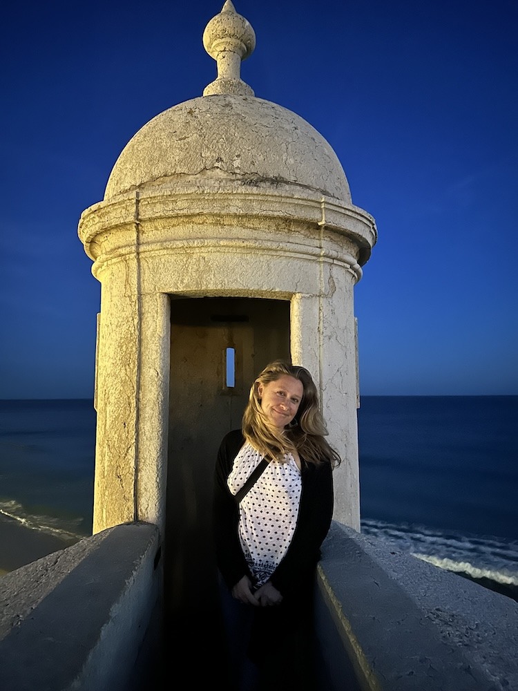 The Princess in the Castle