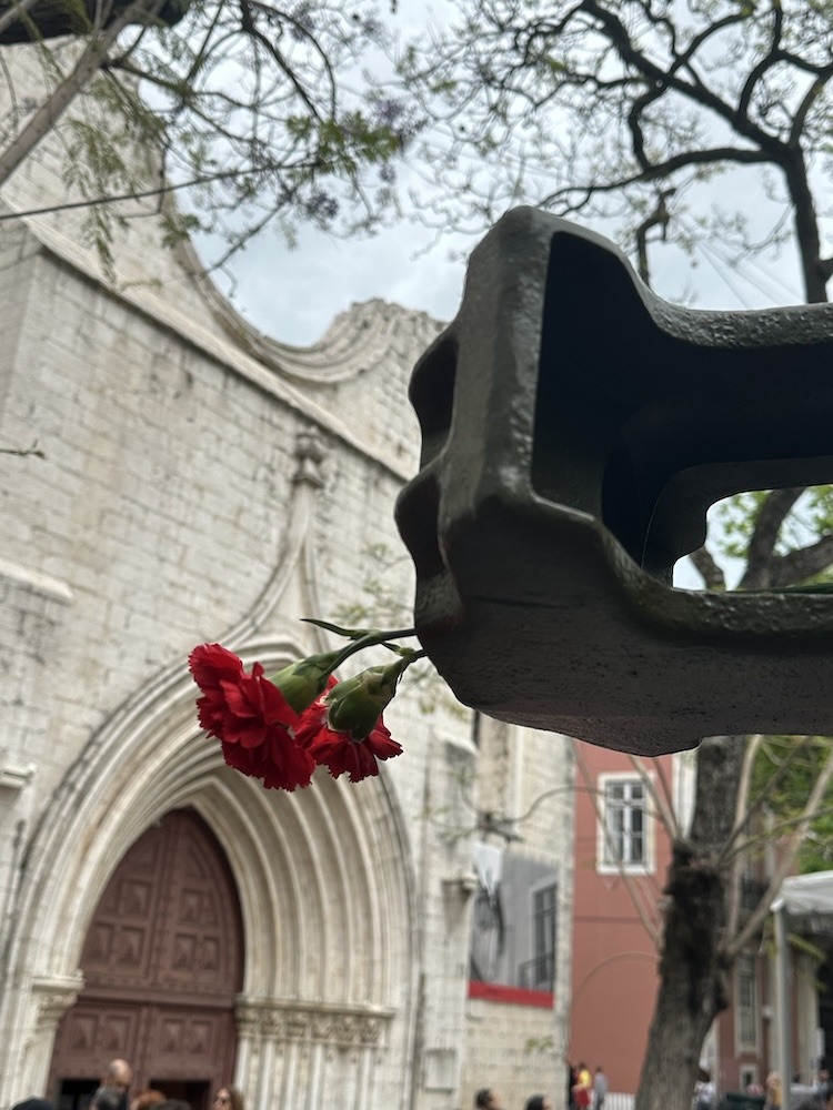 Carnation in a Historic Tank