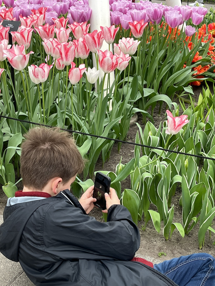 Seb Learning the Art of iPhone Photography