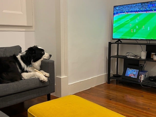 Cody Likes Watching the Euros, Too