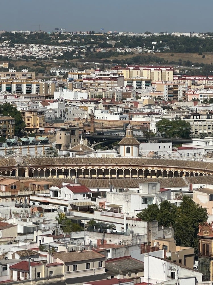 Plaza de Toros from Above