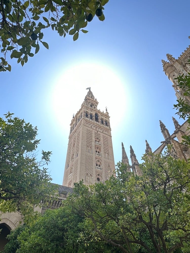 La Giralda from the Courtyard