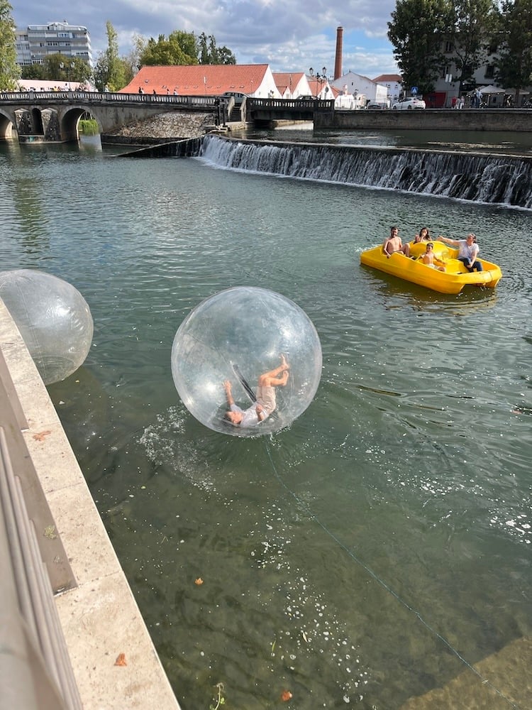 Sebastian in the Hamster Ball