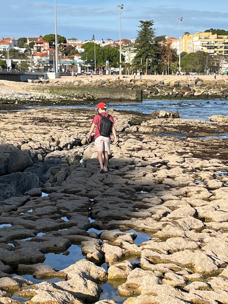 Time in the Tide Pools