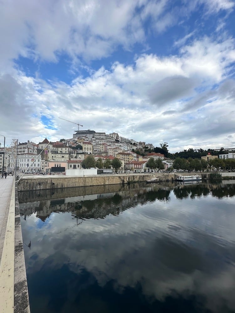 View Over the Mondego River